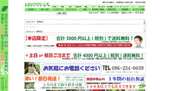 Desktop Screenshot of green-netbox.com
